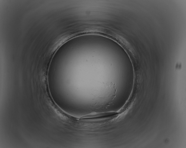 X0000096640985200802121106
