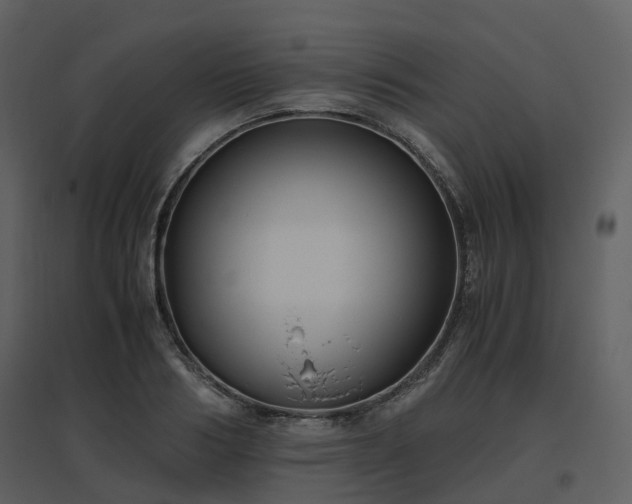 X0000096640986200802121106