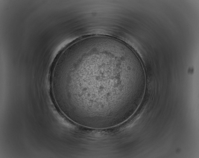 X0000096640987200802121106