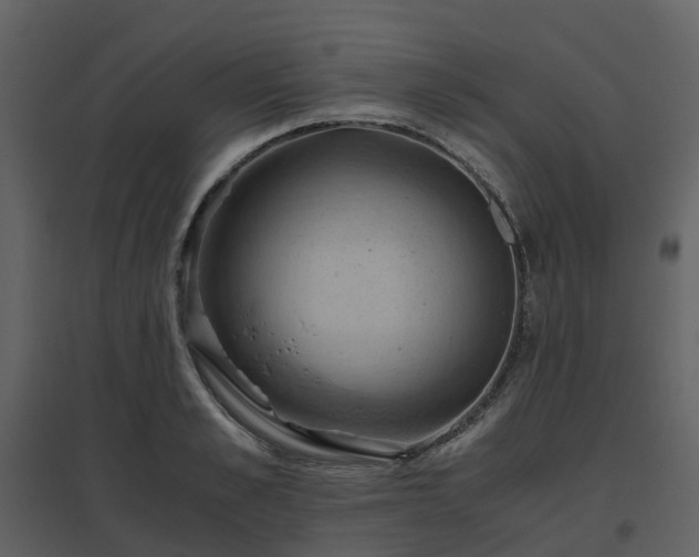 X0000096640989200802121106