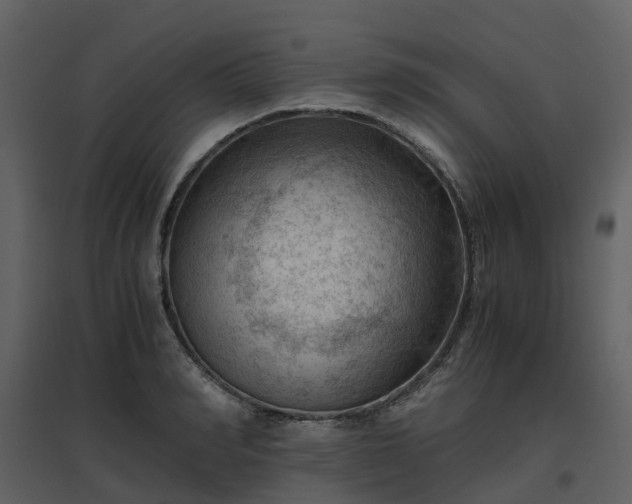 X0000096640990200802121106