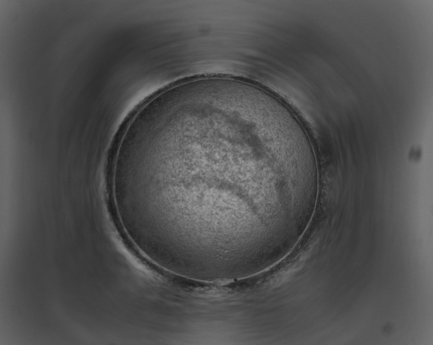 X0000096640991200802121106