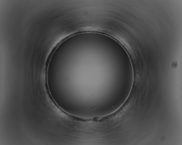 X0000096640992200802121106