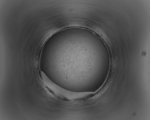 X0000096640993200802121106