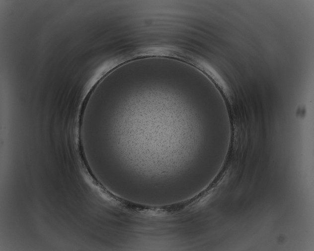 X0000096640994200802121106