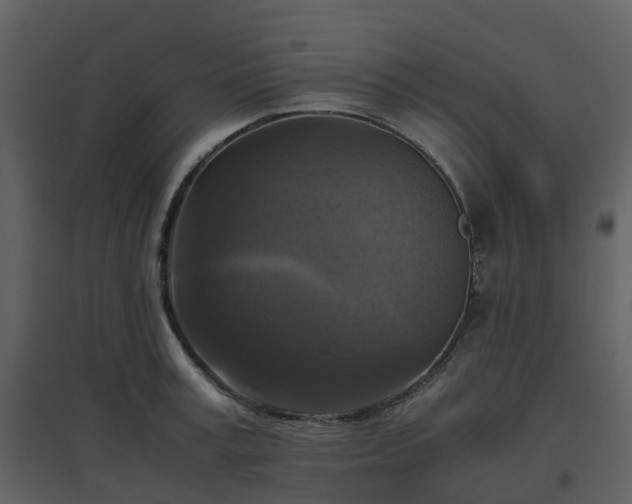 X0000096640995200802121106