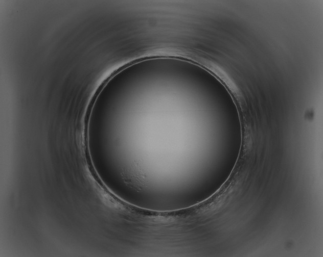 X0000096640996200802121106