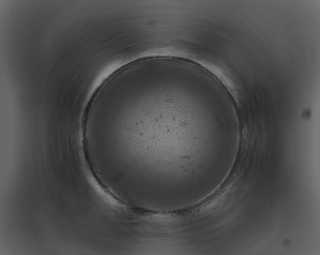 X0000096640998200802121106