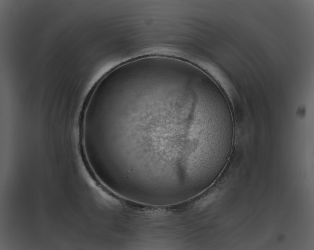 X0000096640999200802121106