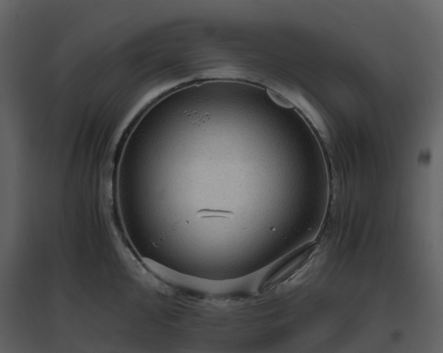 X0000096641000200802121106