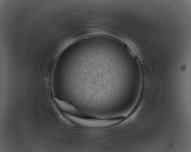 X0000096641001200802121106