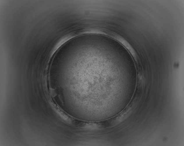 X0000096641002200802121106