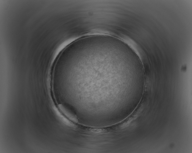 X0000096641003200802121106