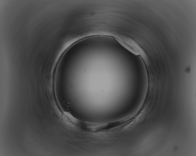 X0000096641004200802121106