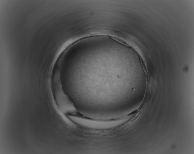 X0000096641005200802121106