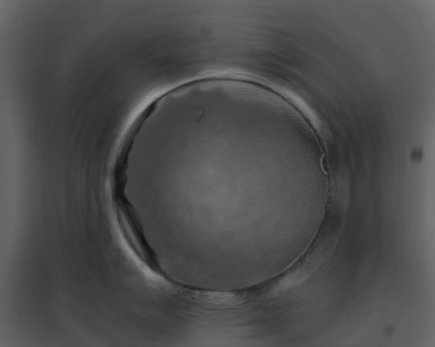 X0000096641007200802121106