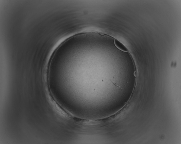 X0000096641008200802121106