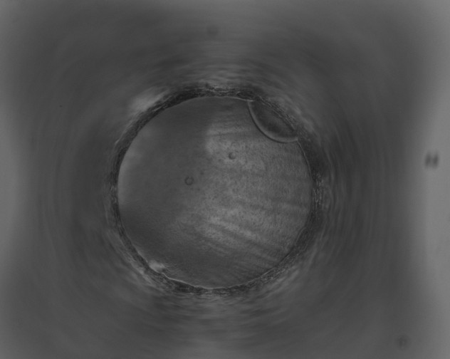 X0000096641009200802121105