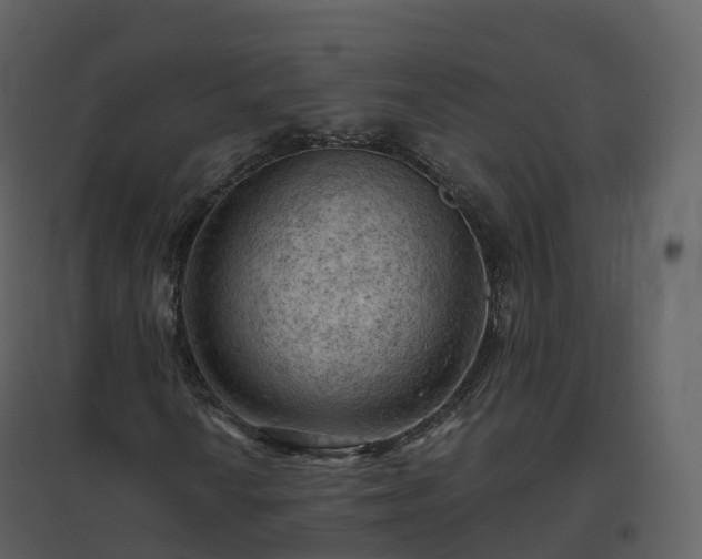 X0000096641010200802121105