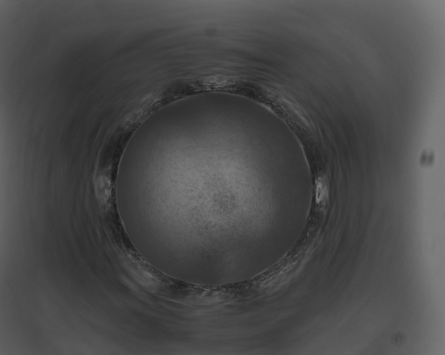 X0000096641011200802121105
