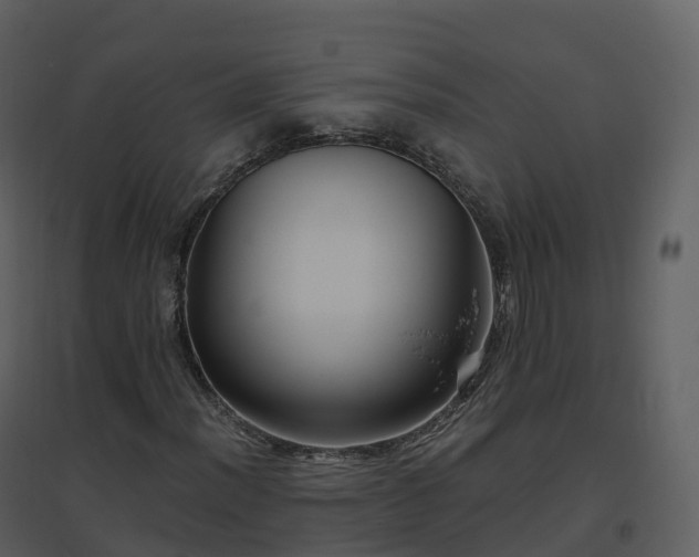 X0000096641012200802121105