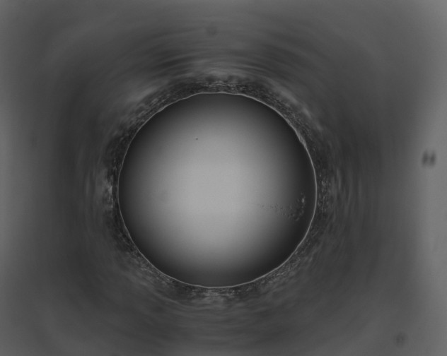 X0000096641013200802121105