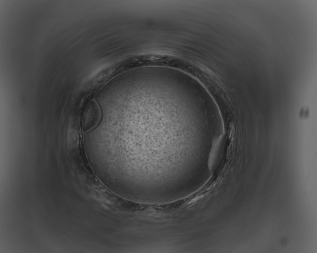X0000096641014200802121105
