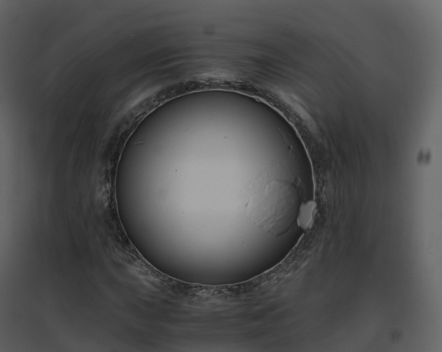 X0000096641015200802121105