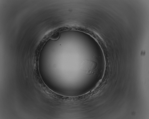 X0000096641016200802121105