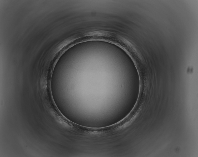 X0000096641017200802121105