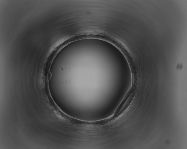 X0000096641018200802121105