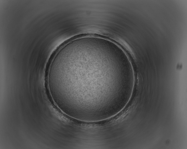 X0000096641020200802121105