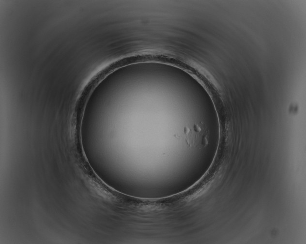 X0000096641021200802121105