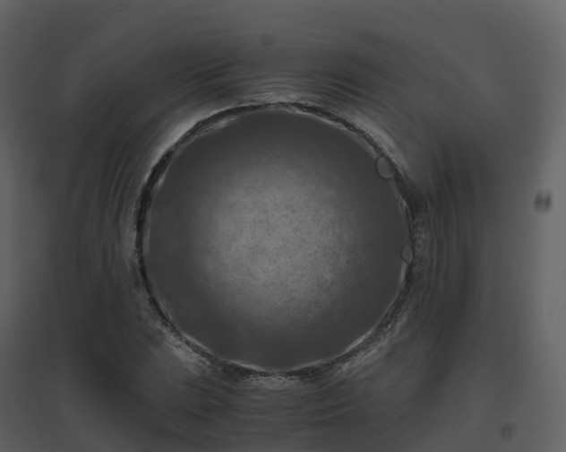 X0000096641023200802121105
