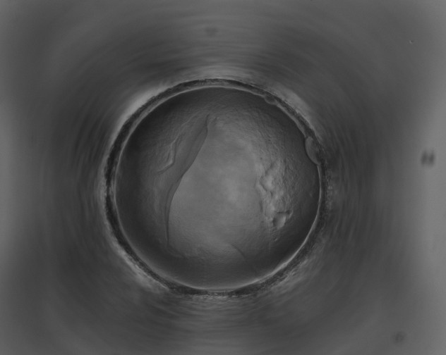 X0000096641024200802121105