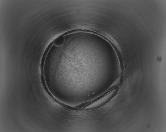 X0000096641028200802121105