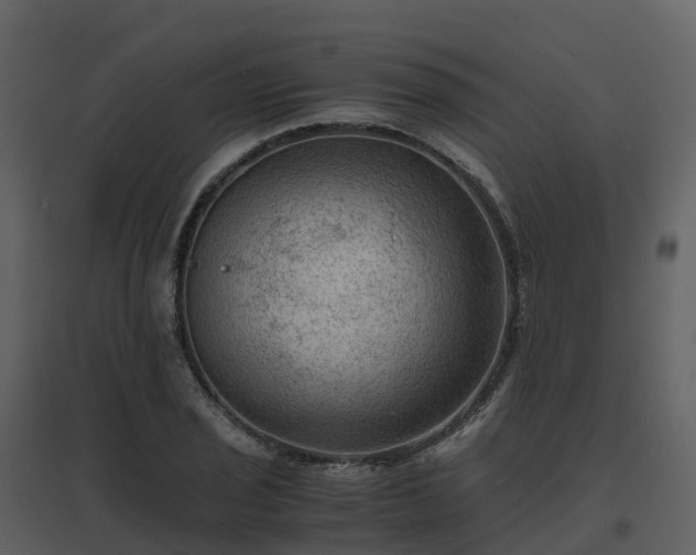 X0000096641029200802121105