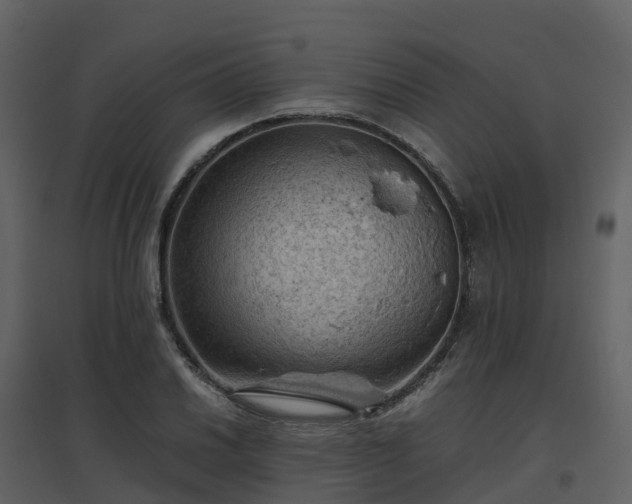 X0000096641030200802121105