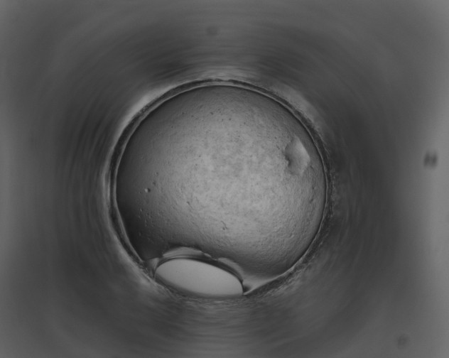 X0000096641032200802121105
