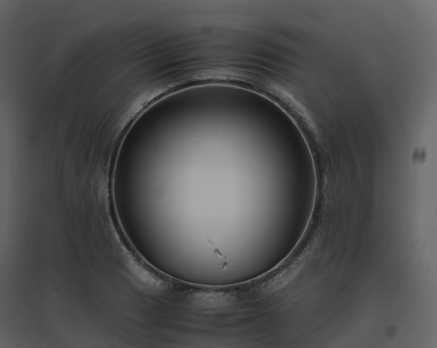 X0000096641033200802121105