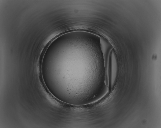 X0000096641034200802121105