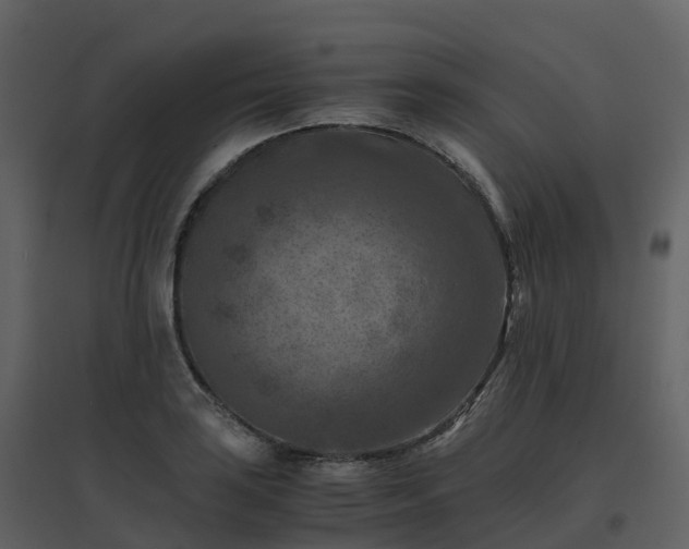 X0000096641035200802121105