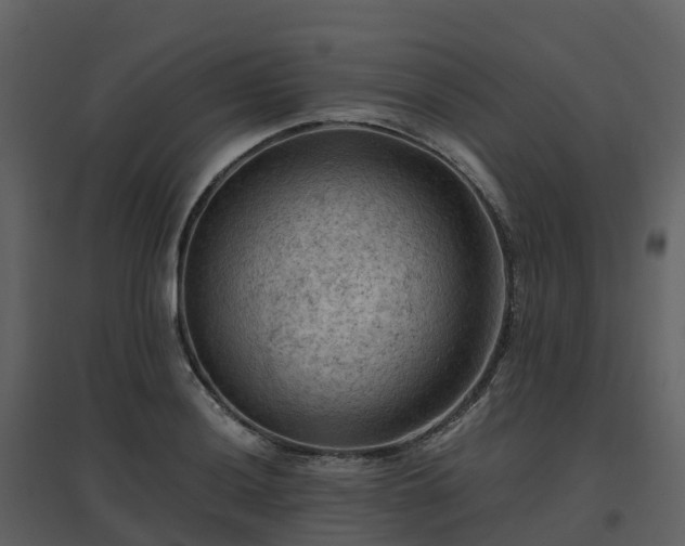 X0000096641036200802121105