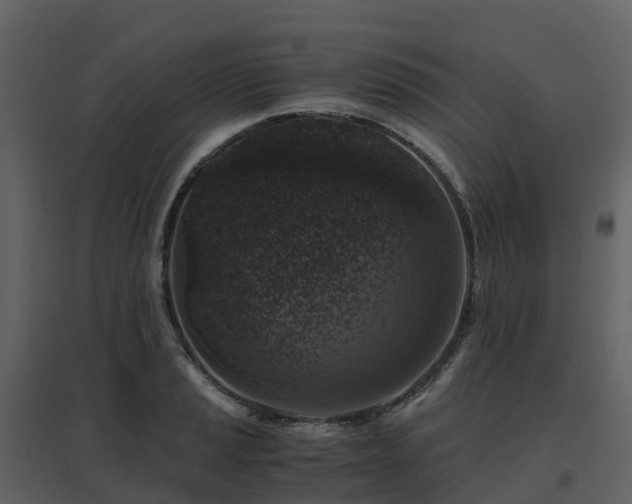 X0000096641037200802121105