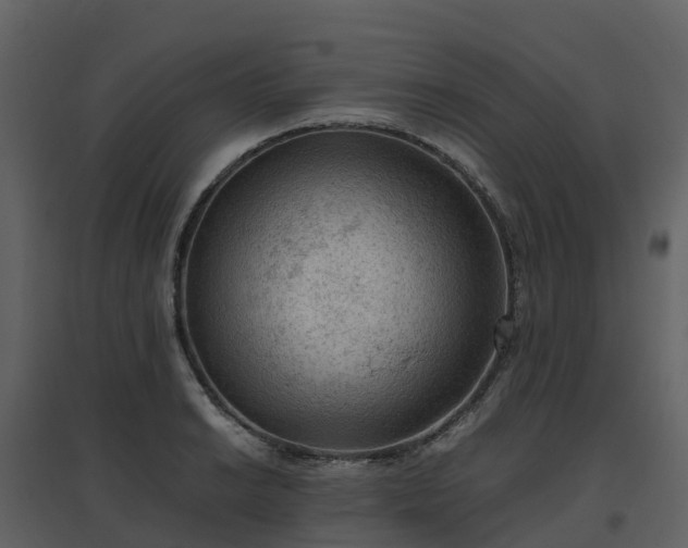 X0000096641038200802121105