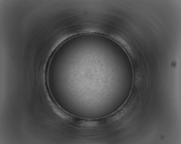 X0000096641039200802121105