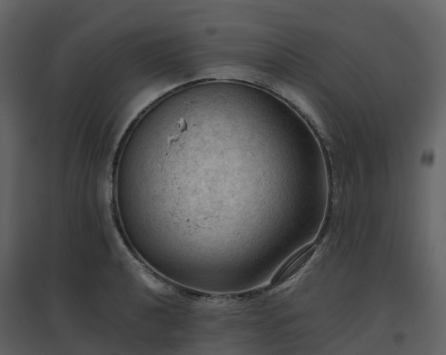 X0000096641040200802121105