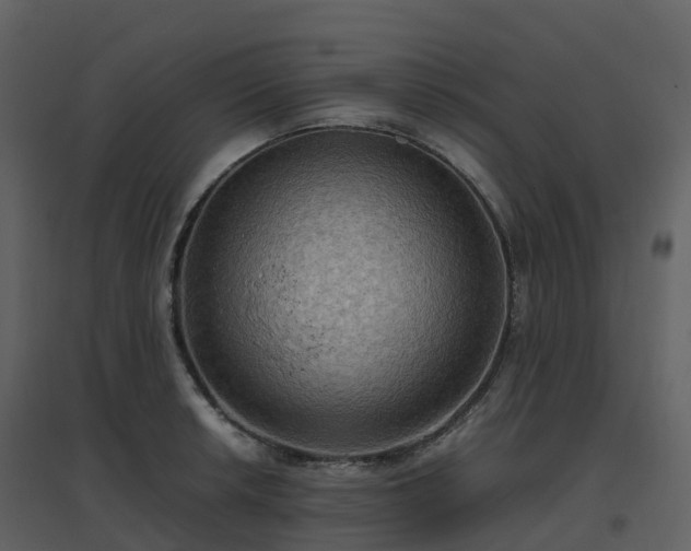 X0000096641042200802121105