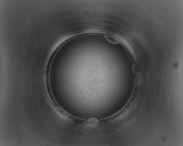 X0000096641043200802121105