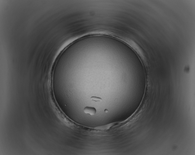X0000096641044200802121105